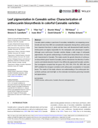 Leaf pigmentation in Cannibis sativa: Characterization of anthocyanin biosynthesis in colorful Cannabis varieties