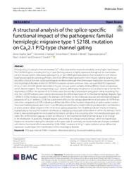 A structural analysis of the splice-specific functional impact of the pathogenic familial hemiplegic migraine type 1 S218L mutation on Cav2.1 P/Q-type channel gating