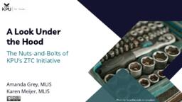 A Look under the Hood: the Nuts-and-Bolts of a Zero Textbook Cost initiative
